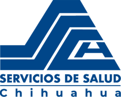 Logo SSCH